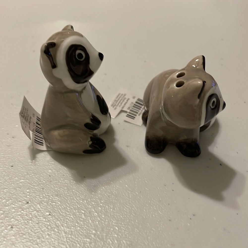 Mini Salt & Pepper Shakers Raccoon - Picture 7 of 12